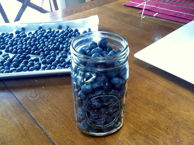 blueberry jar
