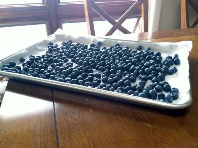 blueberry tray