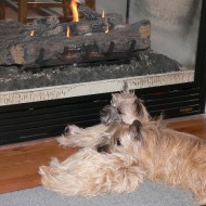 Keeping warm by the fire