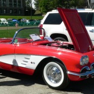 58 vette